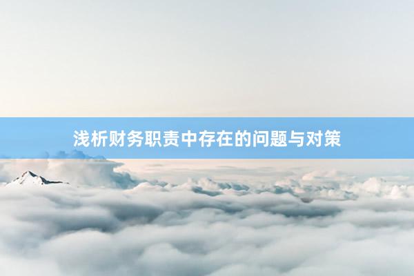 浅析财务职责中存在的问题与对策